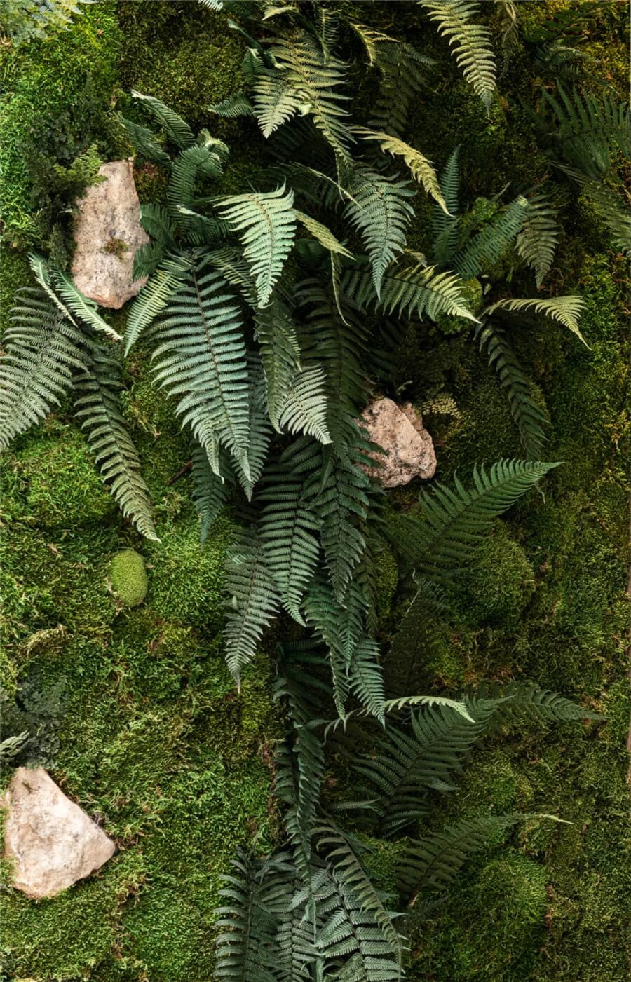 jardin vertical flora medium