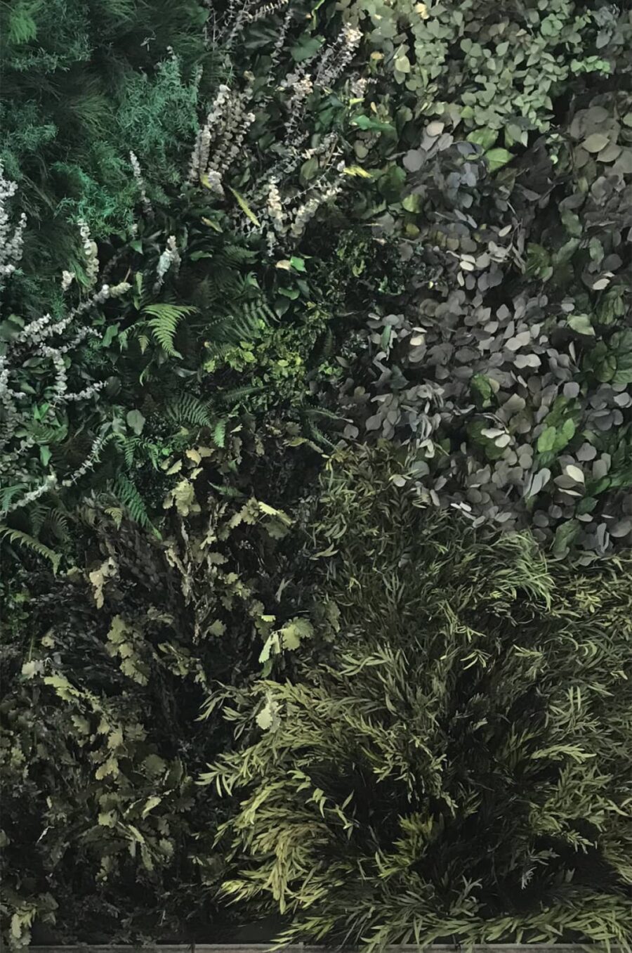 jardin vertical flora premium